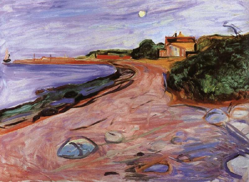 Edvard Munch Scenery of Aosike oil painting picture